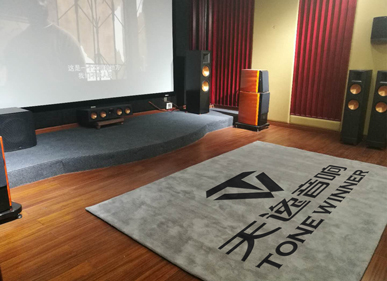 渠道经销_天逸音响