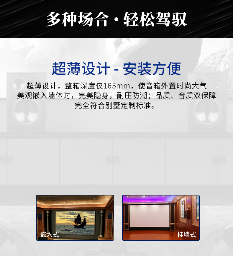 td-10_影k音箱_影k定制_天逸音响