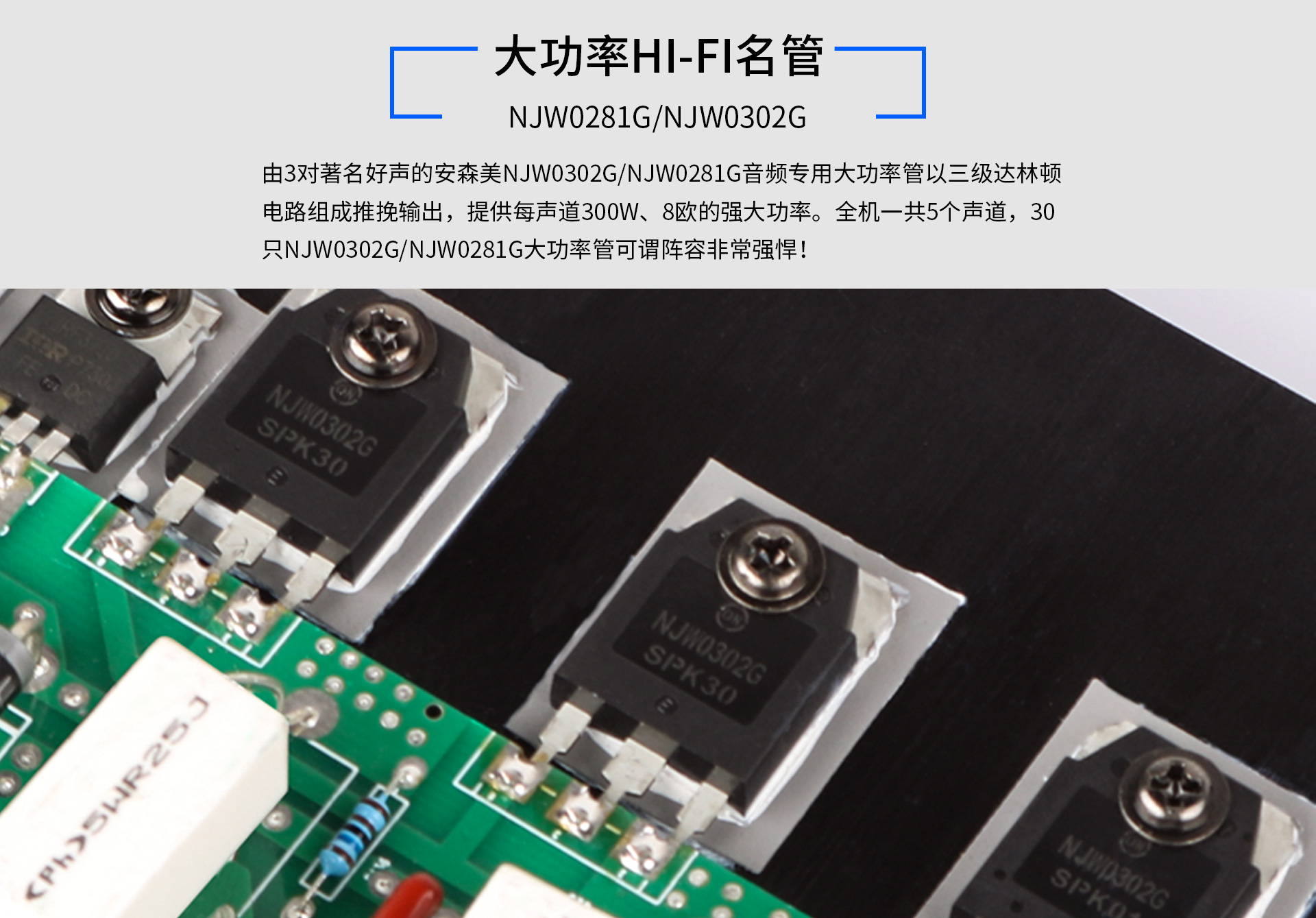 AD-5300PA（停产）_解码·功放_定制安装_天逸音响